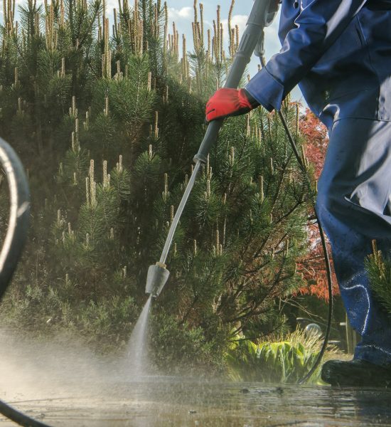 Garden Paths Power Washing